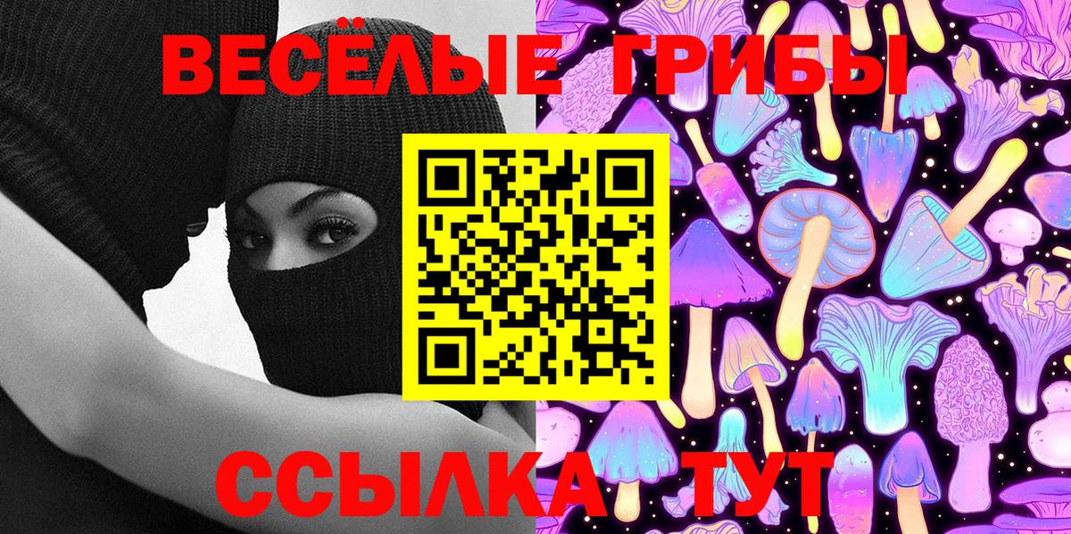 Псилоцибиновые грибы Psilocybe Клинцы