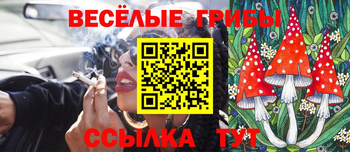 Клинцы  Галлюциногенные грибы Psilocybe  Псилоцибиновые грибы Cubensis  Вход с VPN 